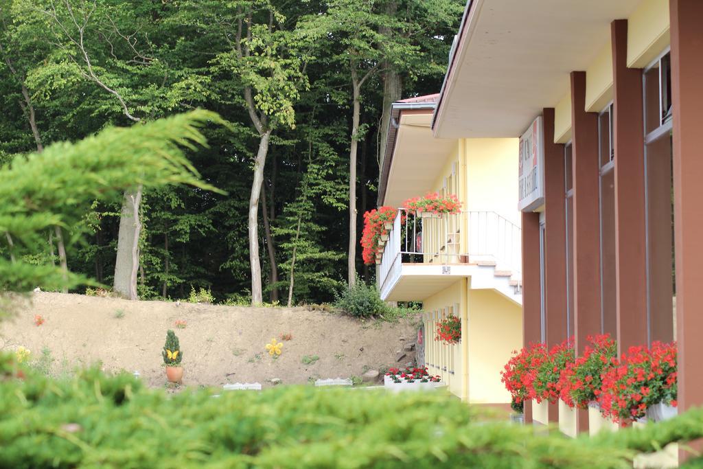 Hotel Drive In Motel Capellen Exterior photo